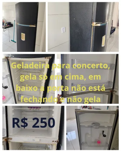 Geladeira para concerto