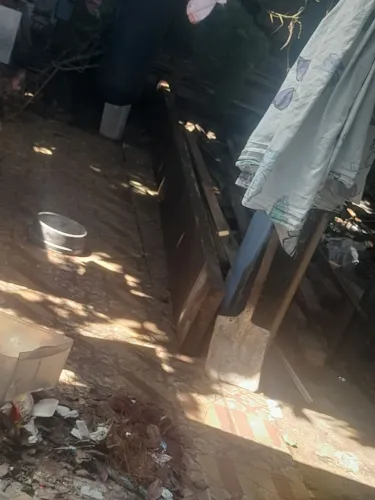 Pranchão de massaranduba 40cm por 7 de 5 metros 
