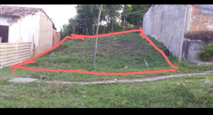 Terreno