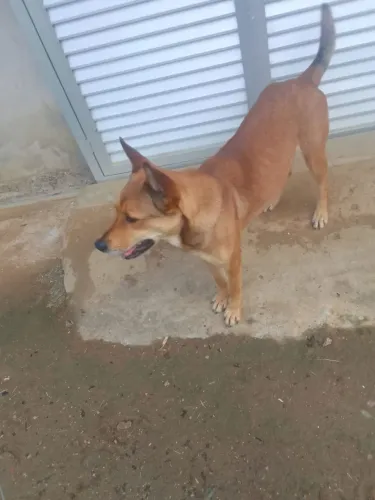 Doação