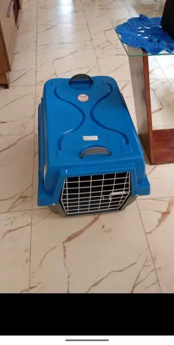 Caixa de transporte de cachorro