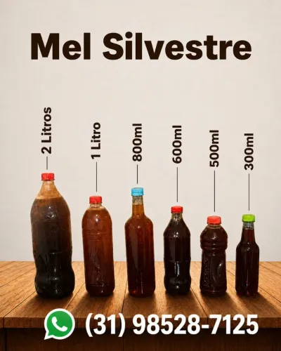 Mel direto fazenda para revenda ou próprio consumo