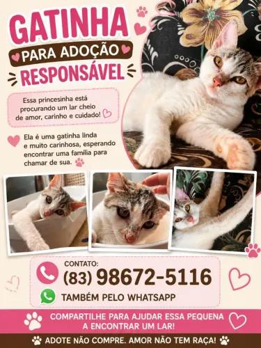 Adoção/ doação responsável