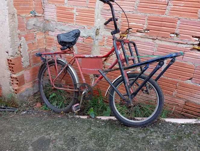 Vendo cargueira 