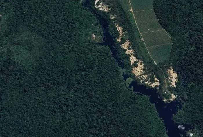 Imóvel para venda com 270000 metros quadrados em Adrianópolis - Manaus - AM
