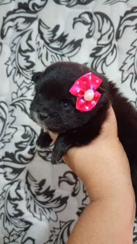Que coisa linda 