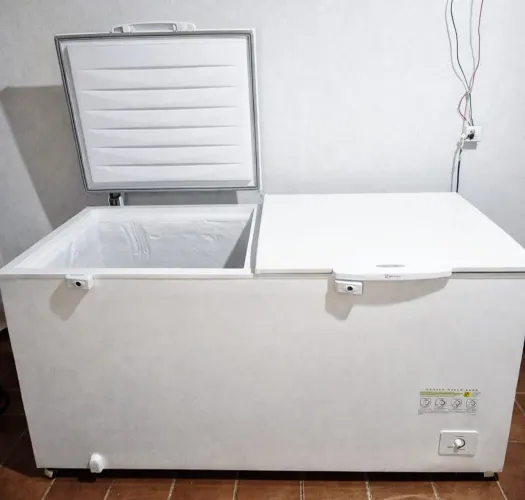 Vendo - Freezer Eletrolux H550