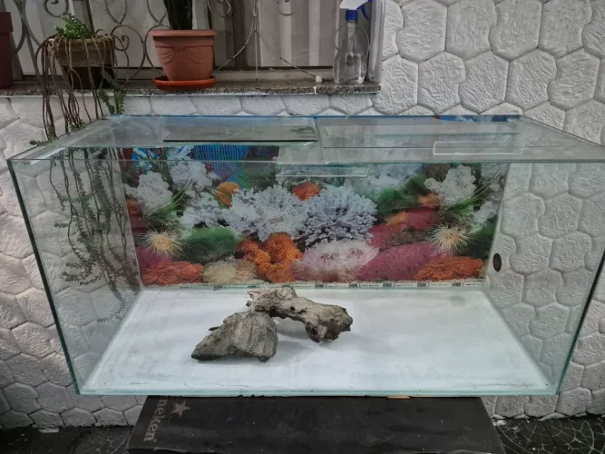 Aquário