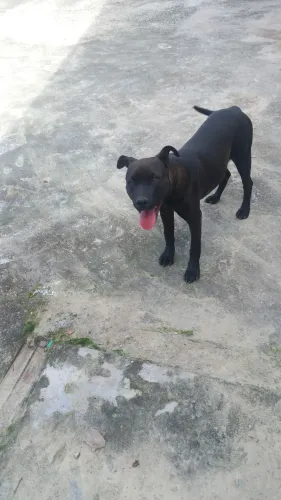 Estou doando