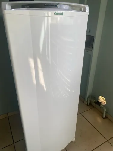 Geladeira 300l