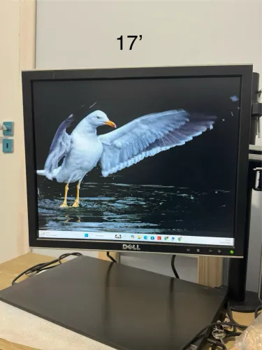 Monitor Dell 17? - modelo 1708fpt
