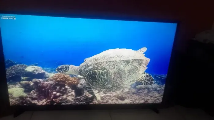 TV SAMSUNG 43 POLEGADAS TOP