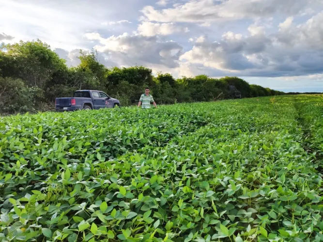 Fazenda para soja no sul do Piauí, Palmeira do Piauí com 3.401 hectares,16 km da Transce