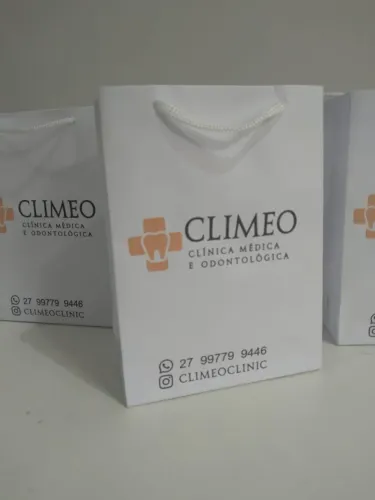 Sacolas de Papel Diversos Tamanhos e Modelos