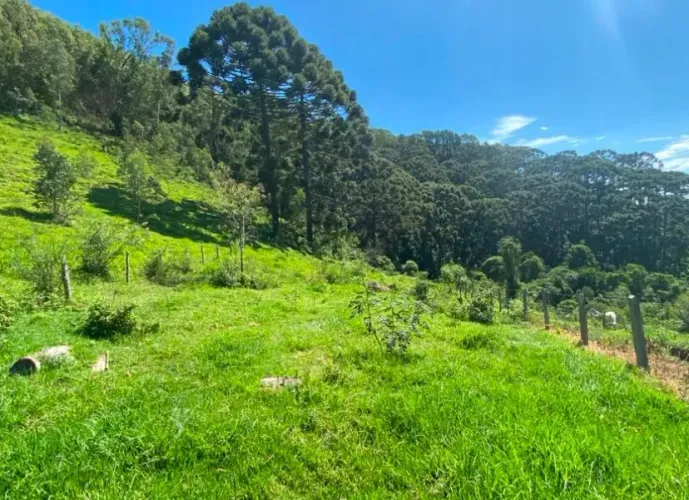 Terreno contendo 9.000m2 em Delfim Moreira- Sul de Minas Gerais