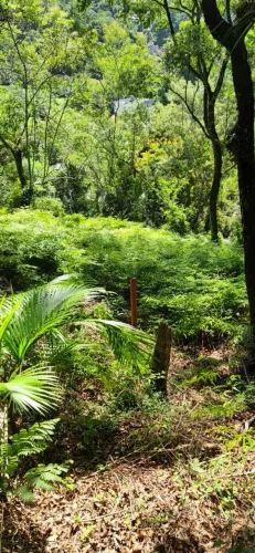 Terreno a 5 minutos do centro de Blumenau Ribeirão Fresco
