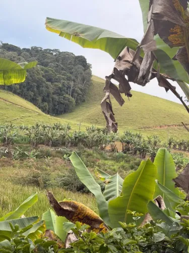 Terreno para chácara 