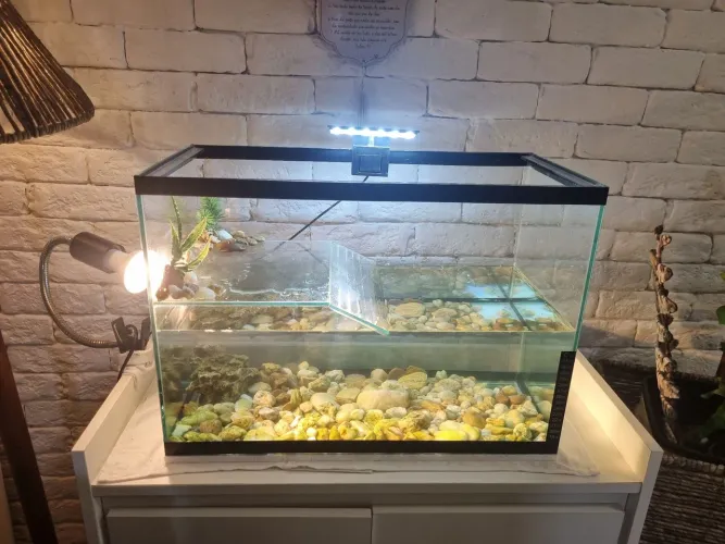Vendo aquário  aquaterrario 43 litros semi novo.