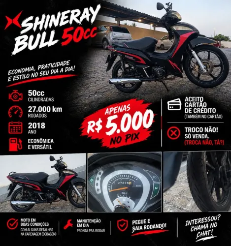 Vendo Bull certinha
