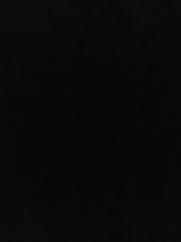 Procuro Cocker fêmea para compra