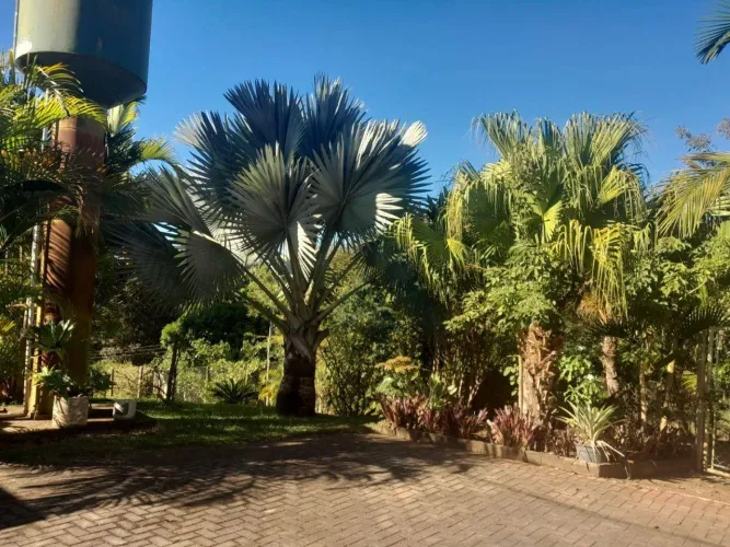 Chácara com 5 quartos à venda - Guarei - Guareí/SP