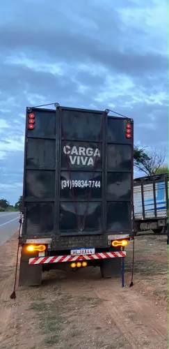 CARGA VIVA ( ANIMAIS )