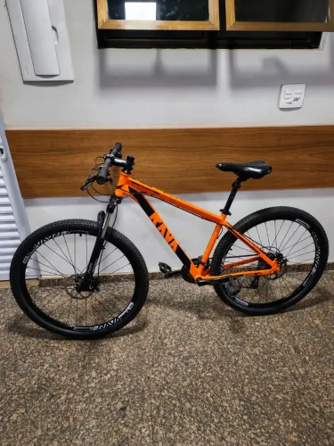 BICICLETA RAVA ARO 29