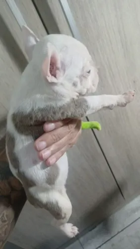Bully pocket