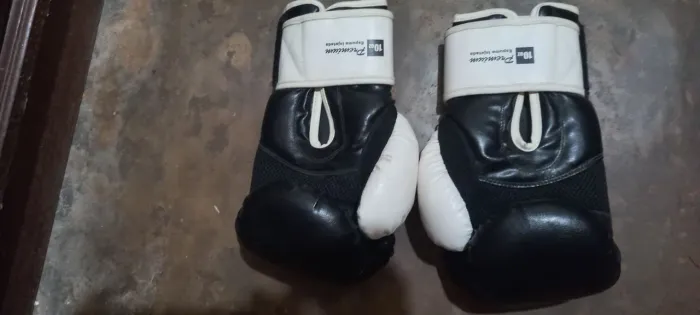 Luva de box e Muay tay