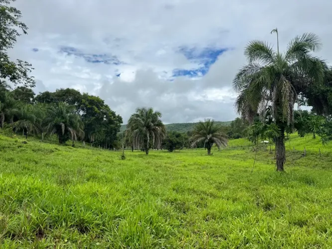 SÍTIO EM GOIÁS VELHO GO - 12.5 ALQUEIRES