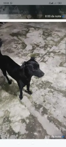 Doação