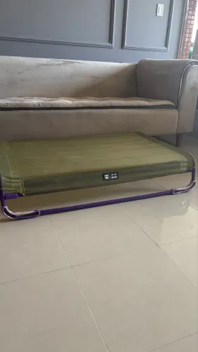 PET Cama Elevada ZEE DOG AIR BED Verde Grande 