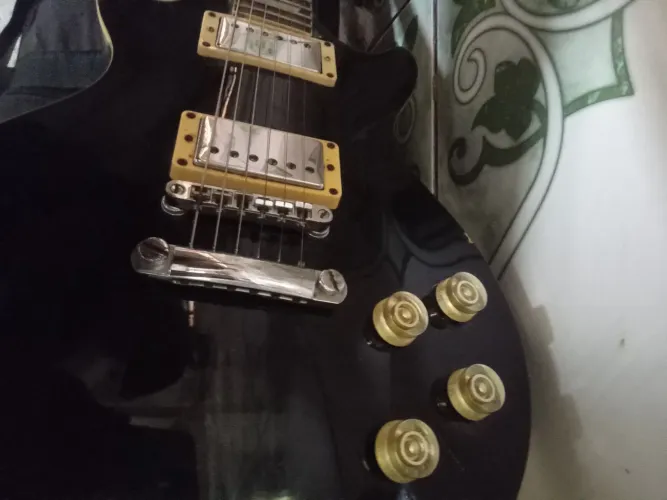 Guitarra less paul shelter 