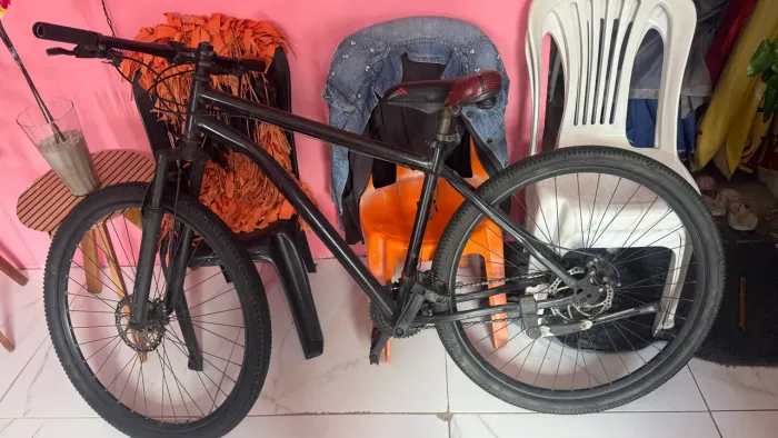Bicicleta aro29