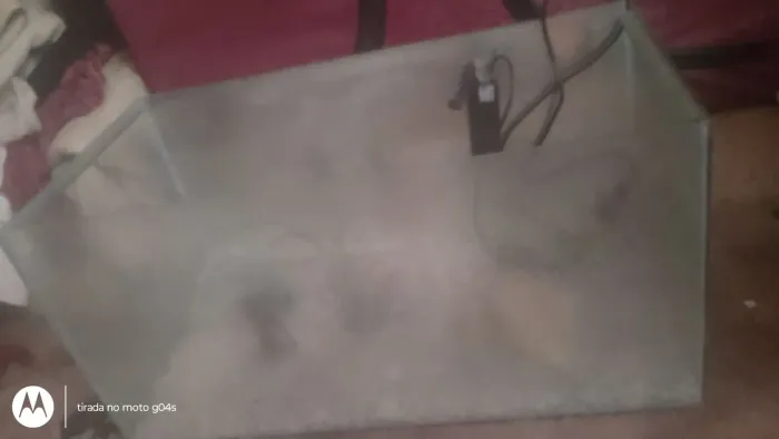 Vendo aquário 90x30