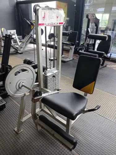 Cadeira extensora profissional - oportunidade | Academia musculação 