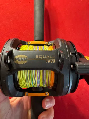Carretilha Penn Squall