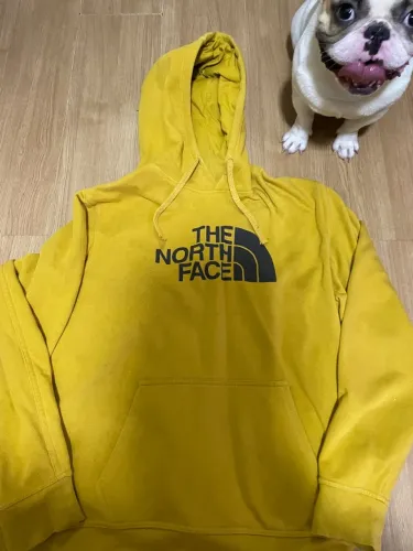 NorthFace moletom