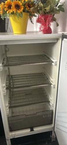 Freezer geladeira até -18 graus ideal para sorvetes, peixes