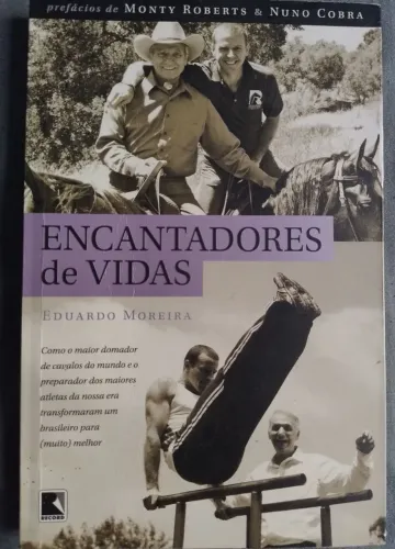 Livro encantadores de vidas