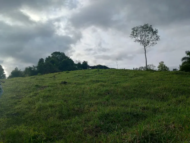 Sítio estradas Coaraci / Almadina 