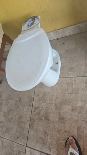 Vaso sanitário com a tampa