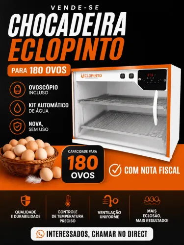 Chocadeira Eclopinto 180 Ovos + Termostato e Água Automática