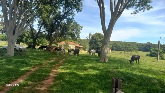 Área Rural | 84.000m² | Casa | Poço Artesiano