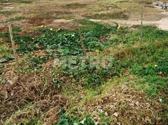 Terreno à venda no bairro Vila das Imbiras 298m, PETROLINA - PE