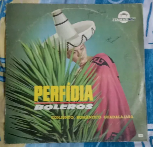 Vinil Conjunto Guadalajara