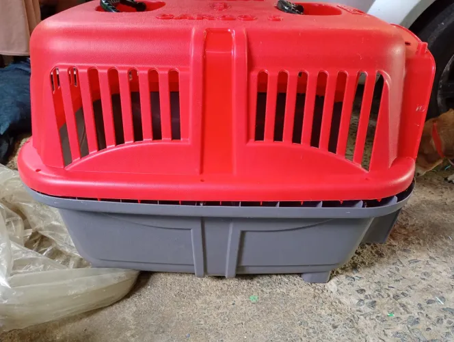 Casinha de trasporte para cachorro 