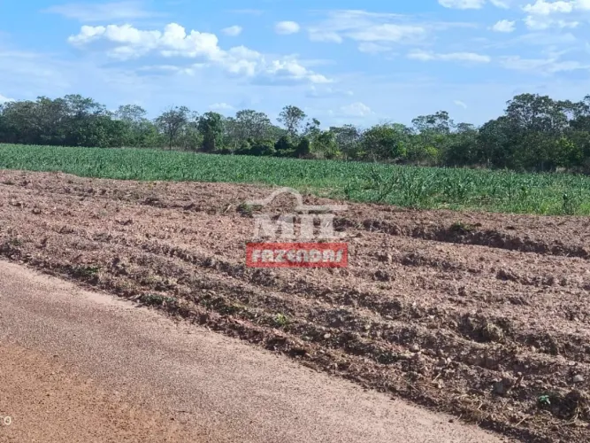 Fazenda 325 Alqueires (1.573 Hectares) Cristianópolis - GO