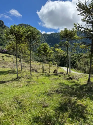Um refúgio exclusivo na serra catarinense