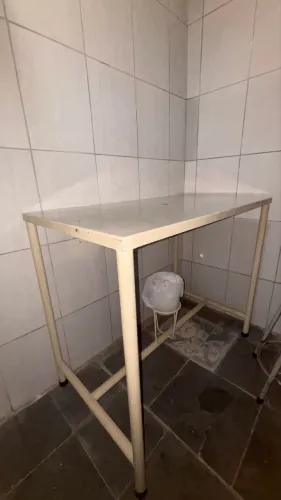 Mesa Resistente Atendimento Veterinário ou Banho e tosa